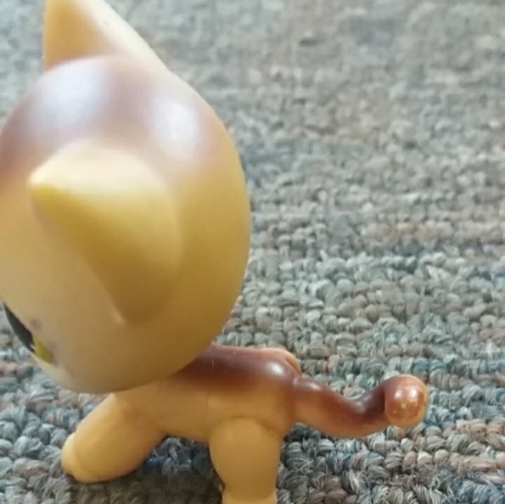 a little cat toy